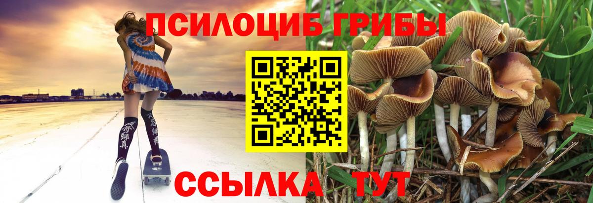 Псилоцибиновые грибы ЛСД  Вход с VPN  где найти   Псилоцибиновые грибы прущие грибы  Видное 
